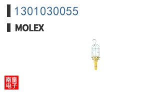 1301030055