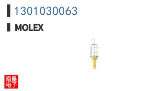 1301030063