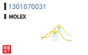 1301070031