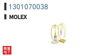 1301070038