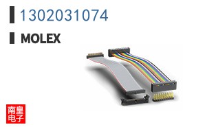 1302031074