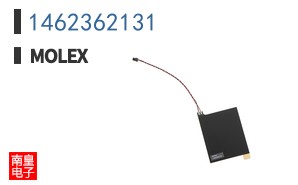 1462362131