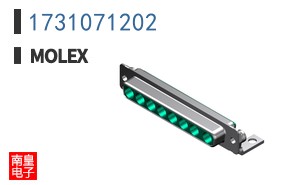 1731071202