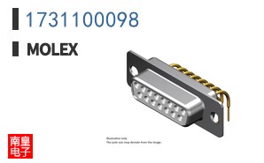 1731100098