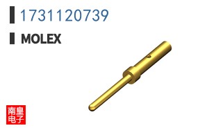 1731120739