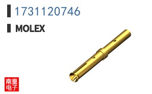 1731120746