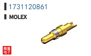 1731120861