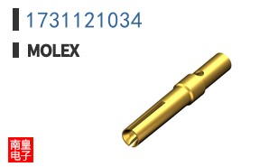 1731121034