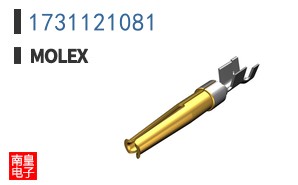 1731121081