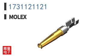 1731121121