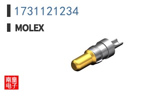 1731121234