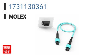 1731130361