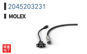 2045203231