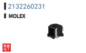 2132260231