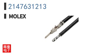 2147631213
