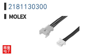 2181130300