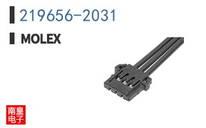 219656-2031