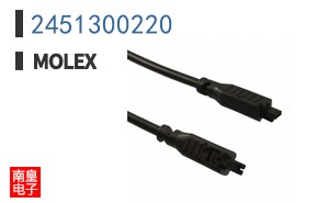 2451300220