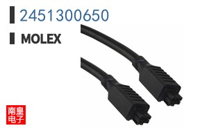 2451300650