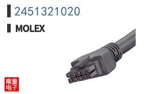 2451321020