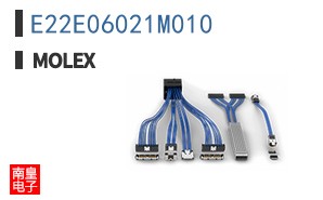E22E06021M010