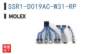 SSR1-D019AC-W31-RP