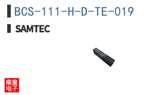 BCS-111-H-D-TE-019