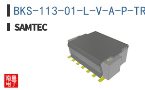 BKS-113-01-L-V-A-P-TR