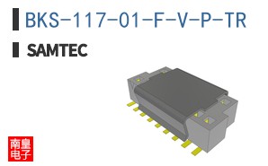 BKS-117-01-F-V-P-TR