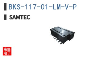 BKS-117-01-LM-V-P