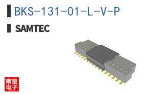 BKS-131-01-L-V-P