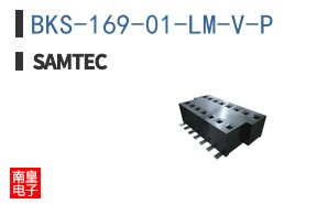BKS-169-01-LM-V-P
