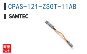CPAS-121-ZSGT-11AB