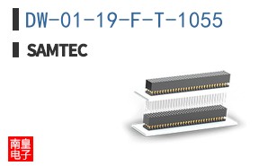 DW-01-19-F-T-1055