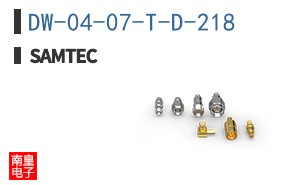 DW-04-07-T-D-218