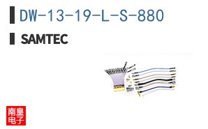 DW-13-19-L-S-880
