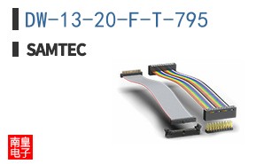 DW-13-20-F-T-795