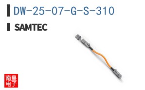 DW-25-07-G-S-310