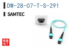 DW-28-07-T-S-291
