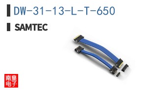 DW-31-13-L-T-650