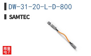 DW-31-20-L-D-800