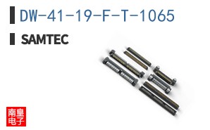DW-41-19-F-T-1065