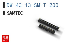 DW-43-13-SM-T-200