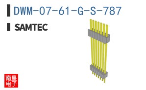 DWM-07-61-G-S-787