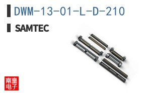 DWM-13-01-L-D-210