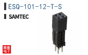 ESQ-101-12-T-S