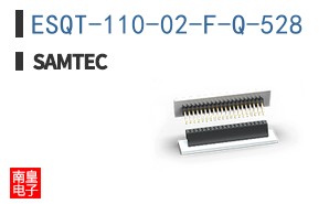 ESQT-110-02-F-Q-528