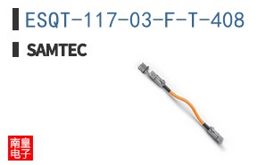 ESQT-117-03-F-T-408