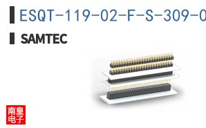 ESQT-119-02-F-S-309-002