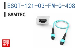 ESQT-121-03-FM-Q-408